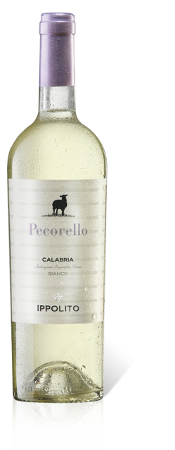 Ippolito Pecorello Calabria Bianco IGT