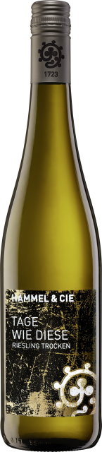 Weingut Hammel Tage wie diese Riesling trocken