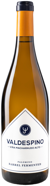 Valdespino Palomino Barrel Fermented