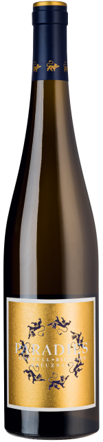 Weingut Korrell Kreuznacher Paradies Riesling Lagenwein trocken