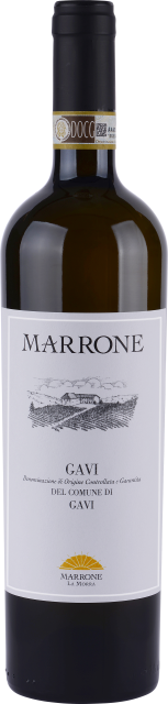 Marrone Gavi di Gavi DOCG